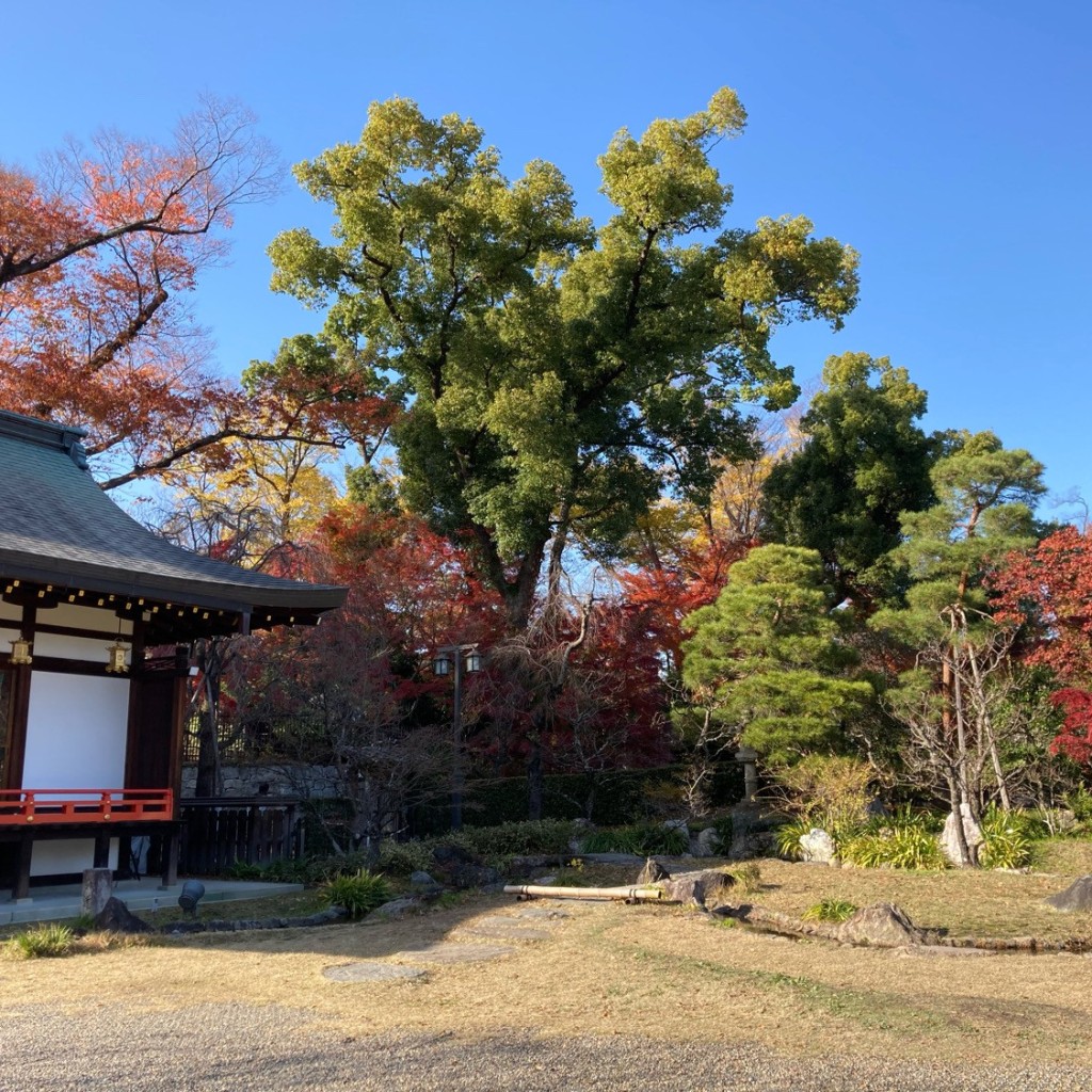 okometopanさんが投稿した西ノ京樋ノ口町神社のお店北野天満宮/キタノテンマングウの写真