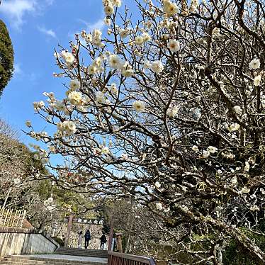 実際訪問したユーザーが直接撮影して投稿した成田公園成田山公園の写真