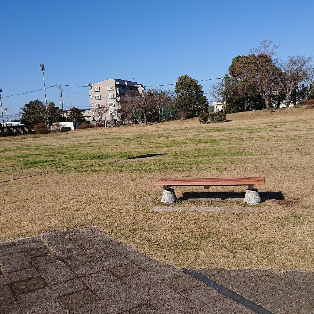 実際訪問したユーザーが直接撮影して投稿した千丁町新牟田公園いぐさの里公園の写真