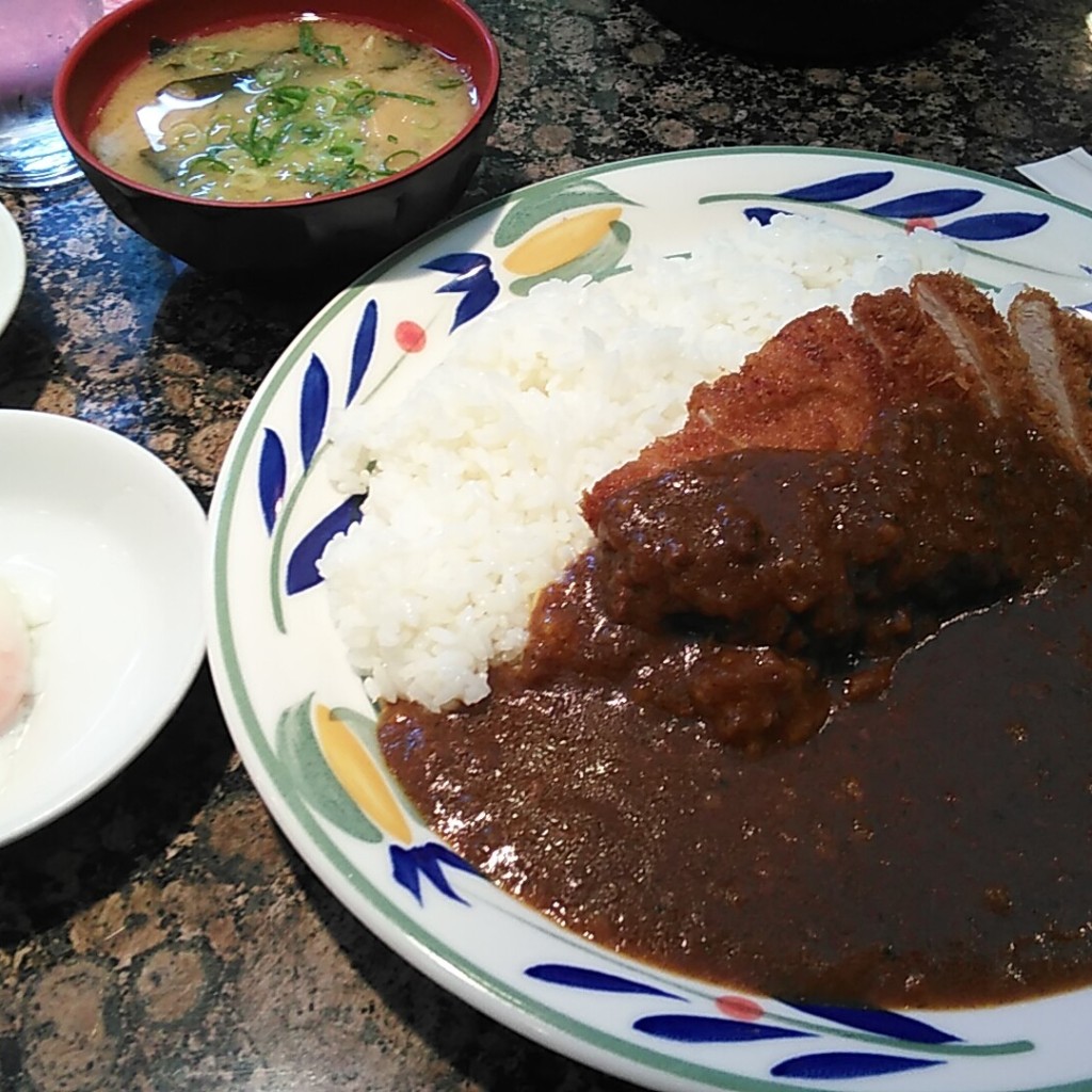 ユーザーが投稿したとんかつカレーの写真 - 実際訪問したユーザーが直接撮影して投稿した梅田カレーカレー&そば ミンガスの写真