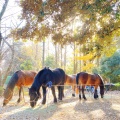 実際訪問したユーザーが直接撮影して投稿した池尻公園世田谷公園の写真