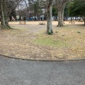 実際訪問したユーザーが直接撮影して投稿した河原井町バーベキュー場久喜菖蒲公園 バーベキュー場の写真