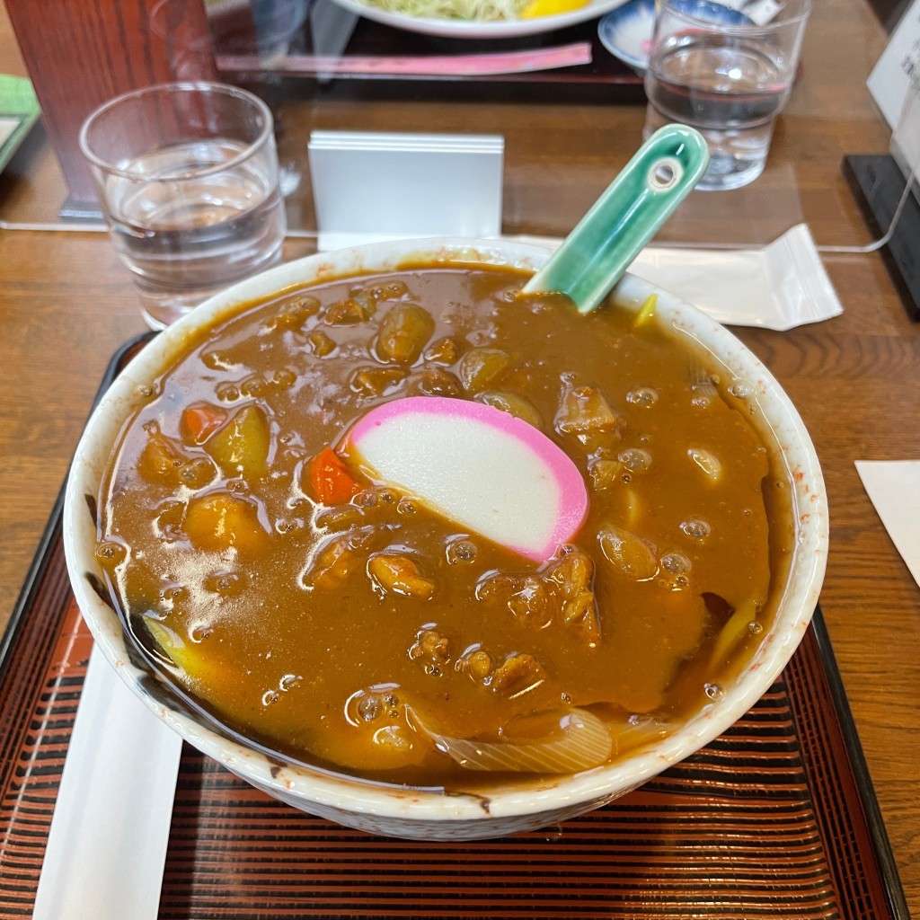 ユーザーが投稿したカレーうどんの写真 - 実際訪問したユーザーが直接撮影して投稿した十日町その他飲食店河島やの写真