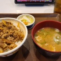 牛丼 - 実際訪問したユーザーが直接撮影して投稿した上野牛丼すき家 岩槻城北東店の写真のメニュー情報