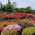 実際訪問したユーザーが直接撮影して投稿した和田公園小室山公園の写真