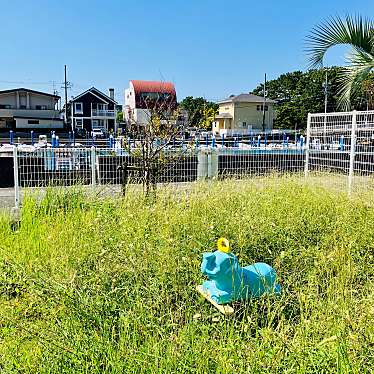 実際訪問したユーザーが直接撮影して投稿した舞阪町弁天島公園観月園公園の写真