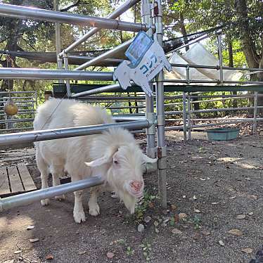 実際訪問したユーザーが直接撮影して投稿した犬山軽食 / ホットスナックモンキーバーの写真