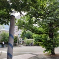 実際訪問したユーザーが直接撮影して投稿した駒込公園染井吉野桜記念公園の写真