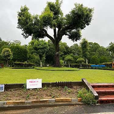 実際訪問したユーザーが直接撮影して投稿した神戸公園神戸公園の写真