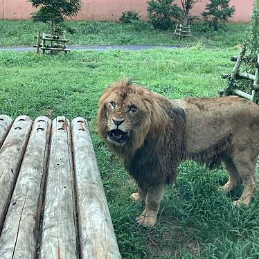 多摩動物公園のundefinedに実際訪問訪問したユーザーunknownさんが新しく投稿した新着口コミの写真