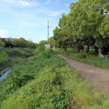 実際訪問したユーザーが直接撮影して投稿した東西神屋散策路防賀川緑道の写真