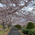 実際訪問したユーザーが直接撮影して投稿した手宮公園手宮公園の写真