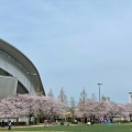 実際訪問したユーザーが直接撮影して投稿した御崎町公園御崎公園の写真