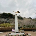 実際訪問したユーザーが直接撮影して投稿した館山公園城山公園の写真