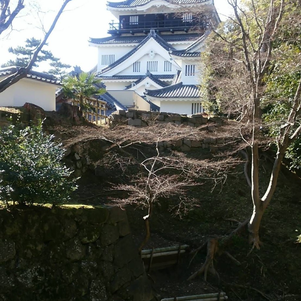 ありがとーまたどこかでさんが投稿した康生町城 / 城跡のお店岡崎城/オカザキジョウの写真