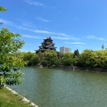 実際訪問したユーザーが直接撮影して投稿した基町城 / 城跡広島城 天守(天守閣)の写真