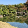 実際訪問したユーザーが直接撮影して投稿した庭園渉成園の写真