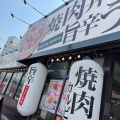 実際訪問したユーザーが直接撮影して投稿した北島牛丼焼肉丼・旨辛うどん すみのえ食堂の写真