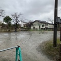 実際訪問したユーザーが直接撮影して投稿した平京田公園ひまわり公園の写真