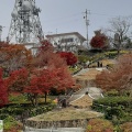 実際訪問したユーザーが直接撮影して投稿した眉山町山 / 峠眉山の写真