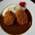 やわらかヒレカツカレー - 実際訪問したユーザーが直接撮影して投稿した初富カフェイデカフェ鎌ケ谷本店の写真のメニュー情報