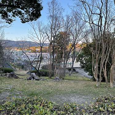 実際訪問したユーザーが直接撮影して投稿した青山台公園くちなし公園の写真