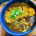 カツカレーうどん - 実際訪問したユーザーが直接撮影して投稿した西早稲田そば尾張屋の写真のメニュー情報