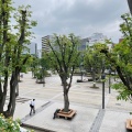 実際訪問したユーザーが直接撮影して投稿した桜木町公園鐘塚公園の写真