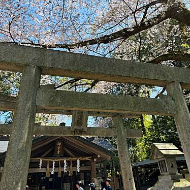 伏見神寶神社のundefinedに実際訪問訪問したユーザーunknownさんが新しく投稿した新着口コミの写真