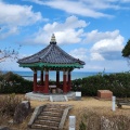 実際訪問したユーザーが直接撮影して投稿した別所公園日韓友好交流公園風の丘の写真