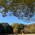 実際訪問したユーザーが直接撮影して投稿した砧公園軽食 / ホットスナックパークス 砧梅園前店の写真