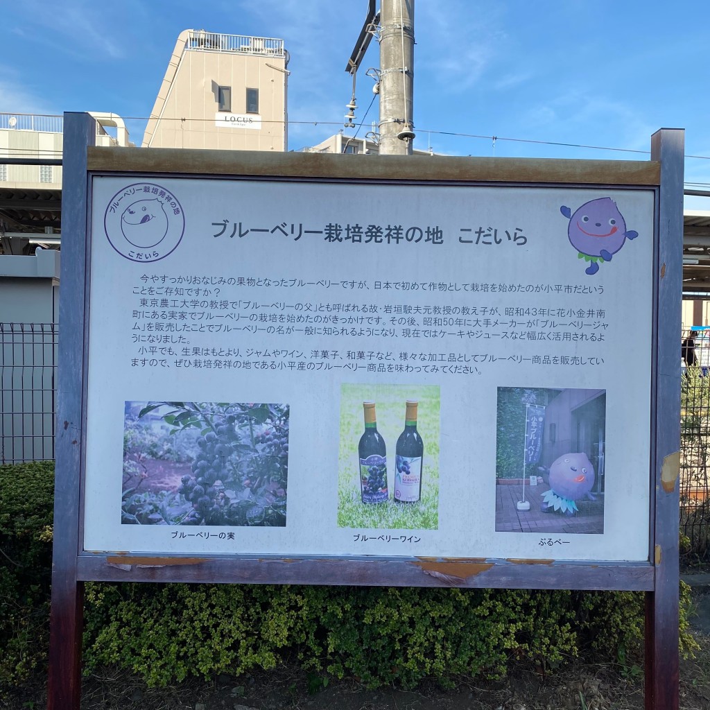 実際訪問したユーザーが直接撮影して投稿した花小金井南町記念碑ブルーベリー栽培発祥の地こだいらの写真