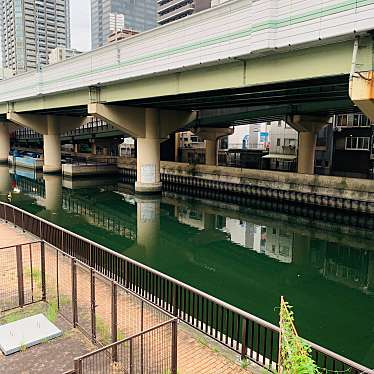 実際訪問したユーザーが直接撮影して投稿した道修町河川東横堀川の写真