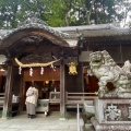 実際訪問したユーザーが直接撮影して投稿した笠神社笠山荒神社の写真