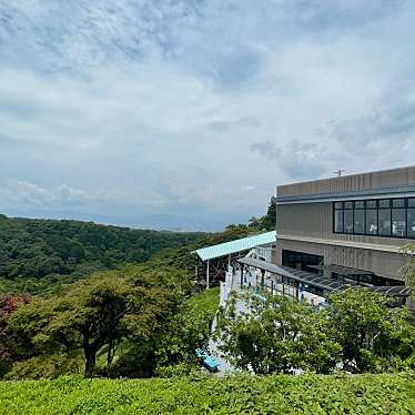 実際訪問したユーザーが直接撮影して投稿した馬走景勝地 / 百選日本平の写真