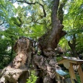 実際訪問したユーザーが直接撮影して投稿した西山町バー楠の香の写真