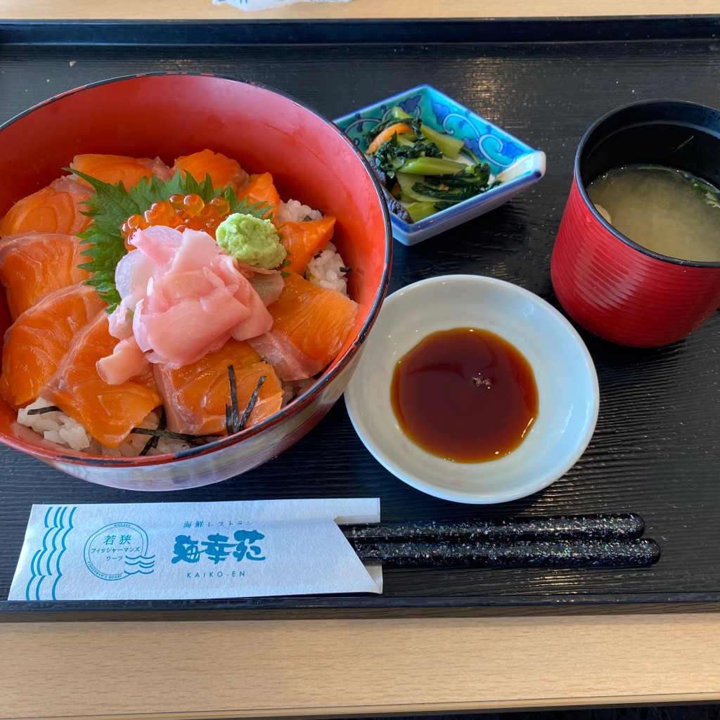 ユーザーが投稿したサーモンいくら丼の写真 - 実際訪問したユーザーが直接撮影して投稿した川崎魚介 / 海鮮料理海幸苑の写真