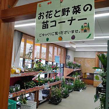 実際訪問したユーザーが直接撮影して投稿した大更道の駅道の駅にしねの写真