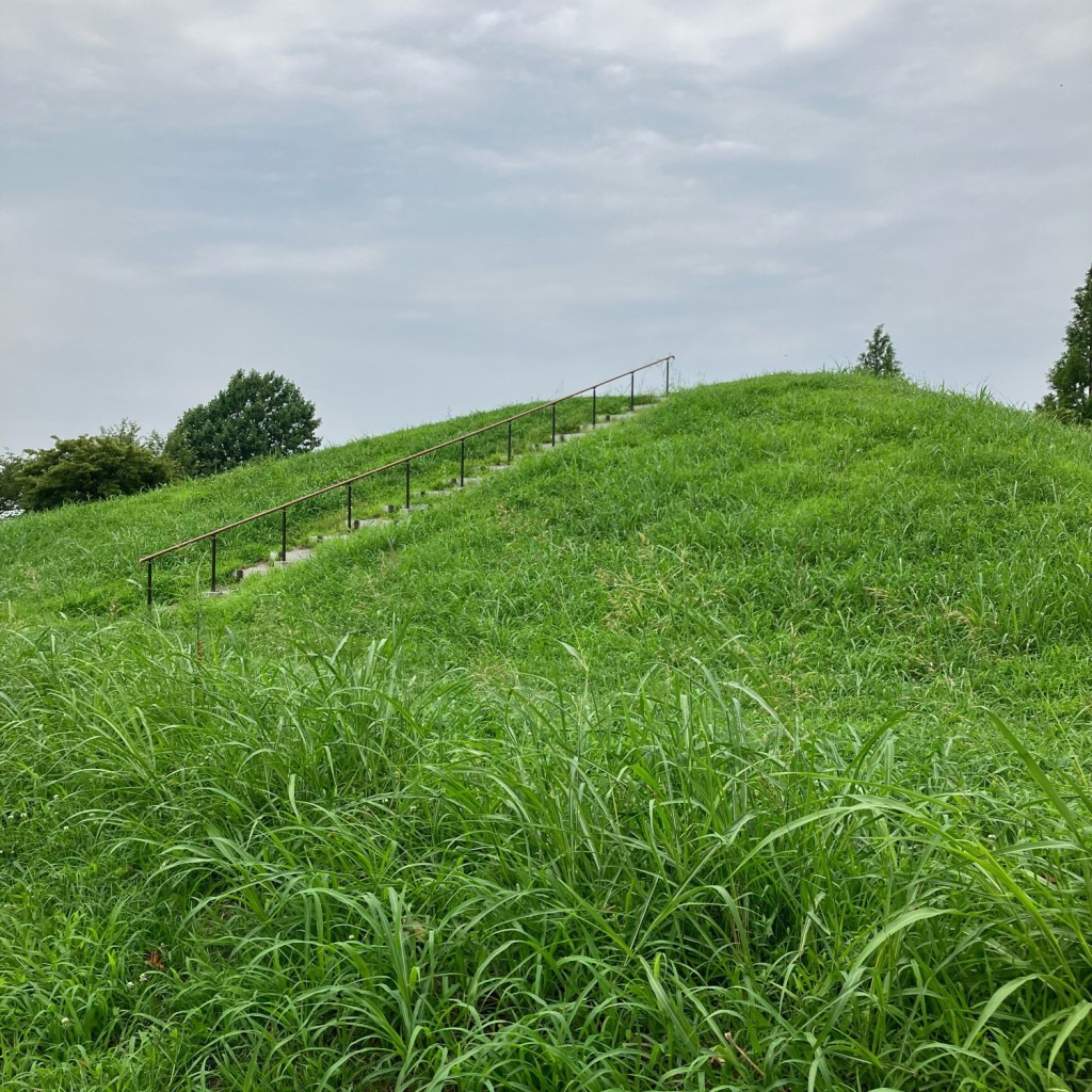 実際訪問したユーザーが直接撮影して投稿した才羽公園みはらしの丘の写真