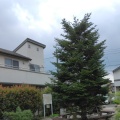 実際訪問したユーザーが直接撮影して投稿した岩戸南公園狛江市立もみの木児童遊園の写真