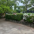 実際訪問したユーザーが直接撮影して投稿した本町公園稲荷山公園の写真