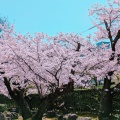 実際訪問したユーザーが直接撮影して投稿した一番堀通町公園白山公園の写真