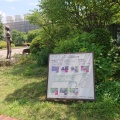 実際訪問したユーザーが直接撮影して投稿した南幸公園ジョイナスの森彫刻公園の写真