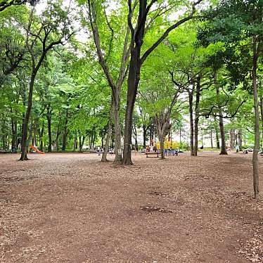 実際訪問したユーザーが直接撮影して投稿した石神井台公園石神井公園 くぬぎ広場の写真