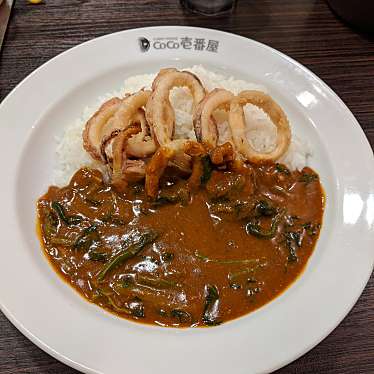 実際訪問したユーザーが直接撮影して投稿した城北町カレーCoCo壱番屋 阪急高槻市駅南口店の写真