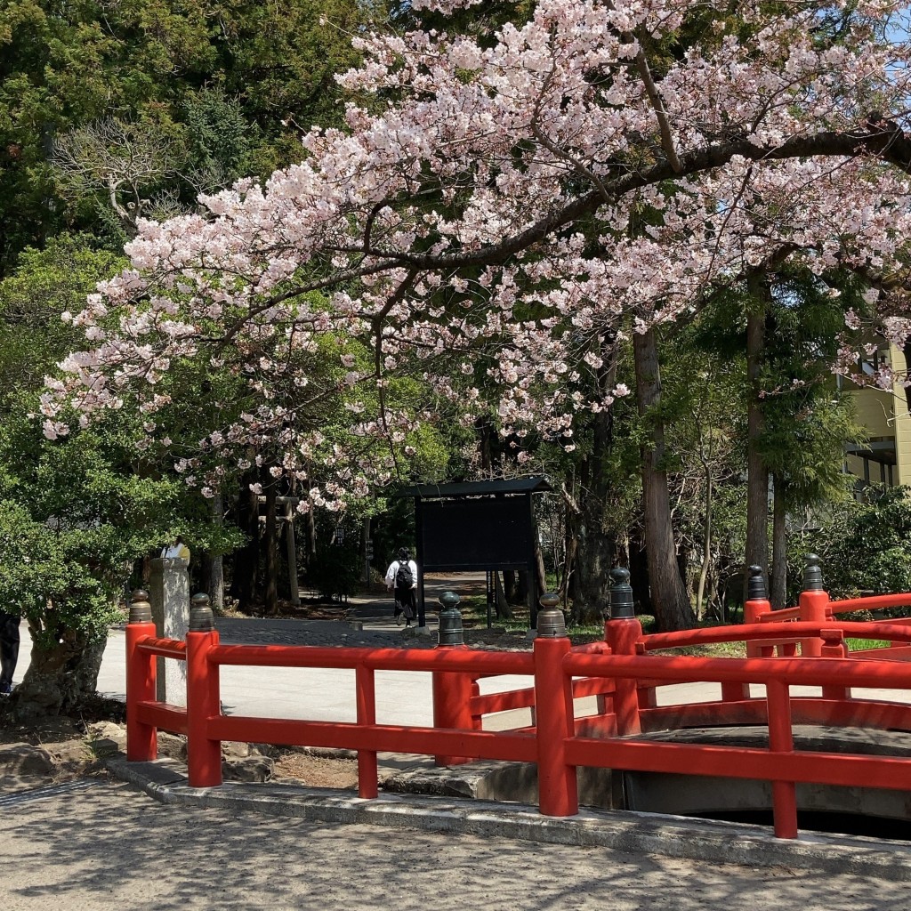 セリオン坊やさんが投稿した東照宮神社のお店仙台東照宮/センダイトウショウグウの写真