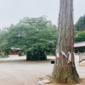 実際訪問したユーザーが直接撮影して投稿した新堀神社高麗神社の写真