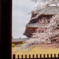 実際訪問したユーザーが直接撮影して投稿した雑司町寺東大寺の写真