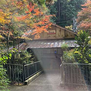 皆さん今までありがとう-卒業だね-月水凛さんが投稿した細川カフェのお店Coffeeしらふじ/コーヒーシラフジの写真