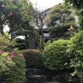 実際訪問したユーザーが直接撮影して投稿した多摩川広東料理花円茶厨房の写真
